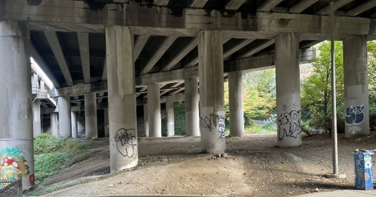Seattle Parks tweet media