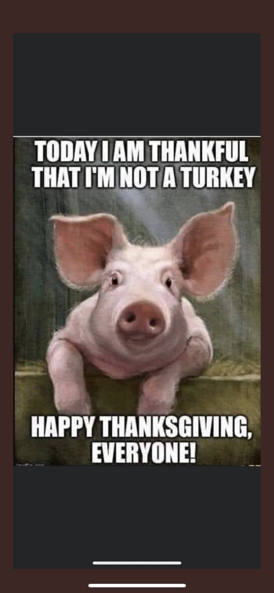 lloydkaufman's tweet photo. Toxie and I love Tantrum the Turkey! @TromaNOWApp https://t.co/V3FEhCl4XI
