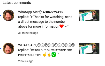 MattWhite tweet media