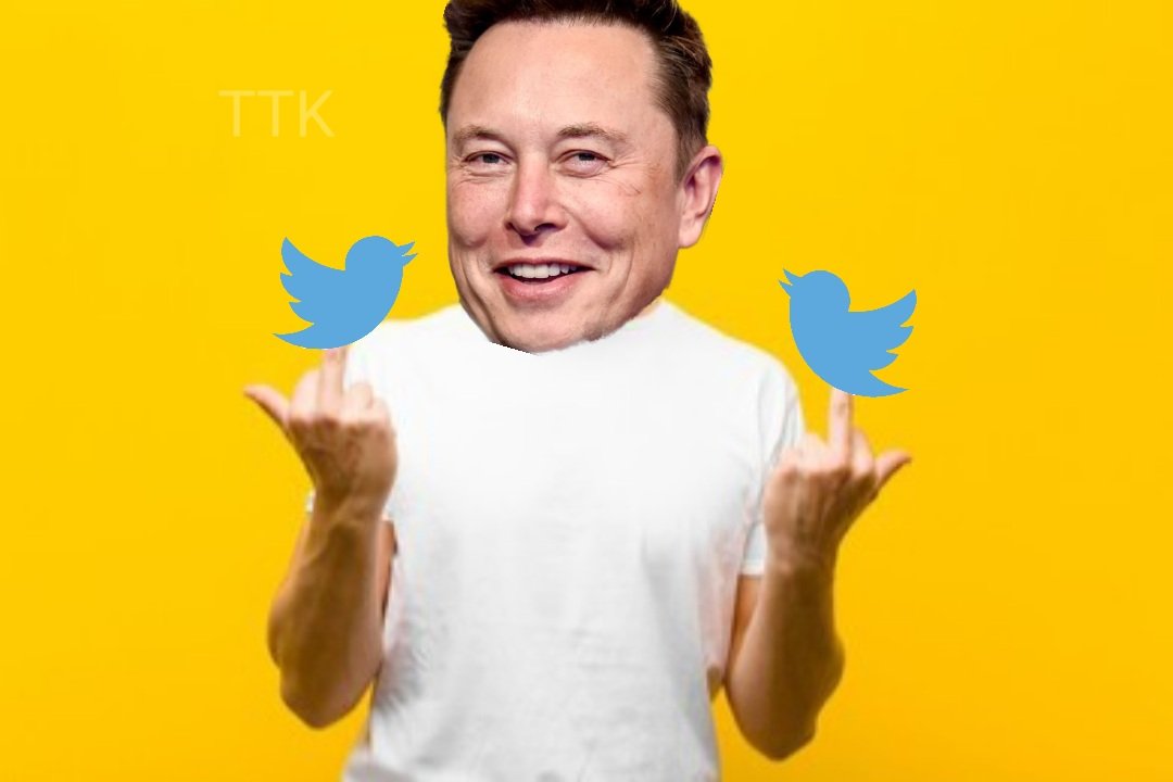 eaglecrypto_web's tweet photo. @catturd2 @elonmusk #freebird https://t.co/SThWu70awG