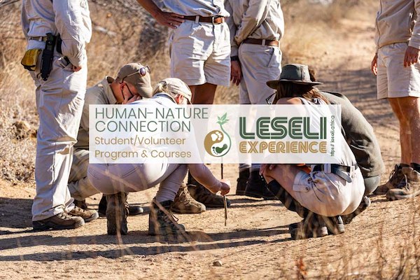 🌿 Human Wellness ☀️ - mailchi.mp/16c73db19482/l…