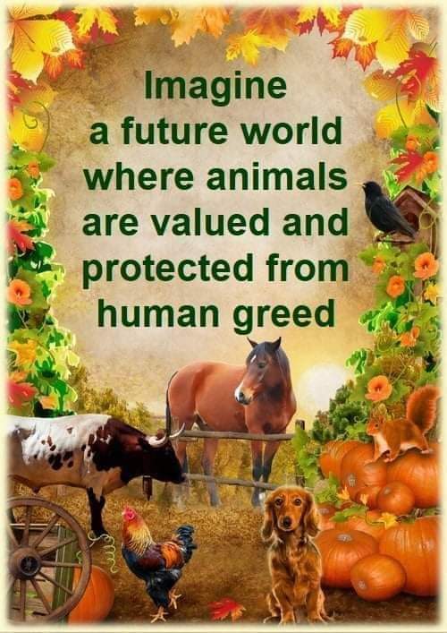 DanielleAnd15's tweet photo. #vegan https://t.co/J6hEUds1GP