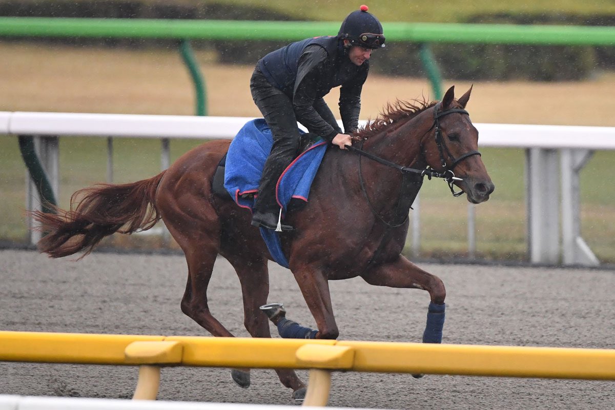 東スポ競馬 on Twitter