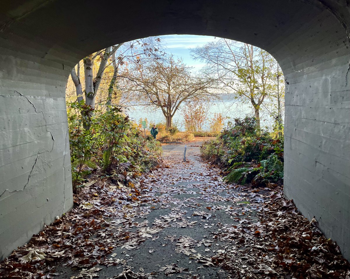 NearAndFarAZ's tweet photo. What beautiful day for a #ThanksgivingWalk in #Seattle today! #HappyThanksgiving #SeattleWA #ColmanTrail #MtBakerBeach https://t.co/YfHDsPEp2T