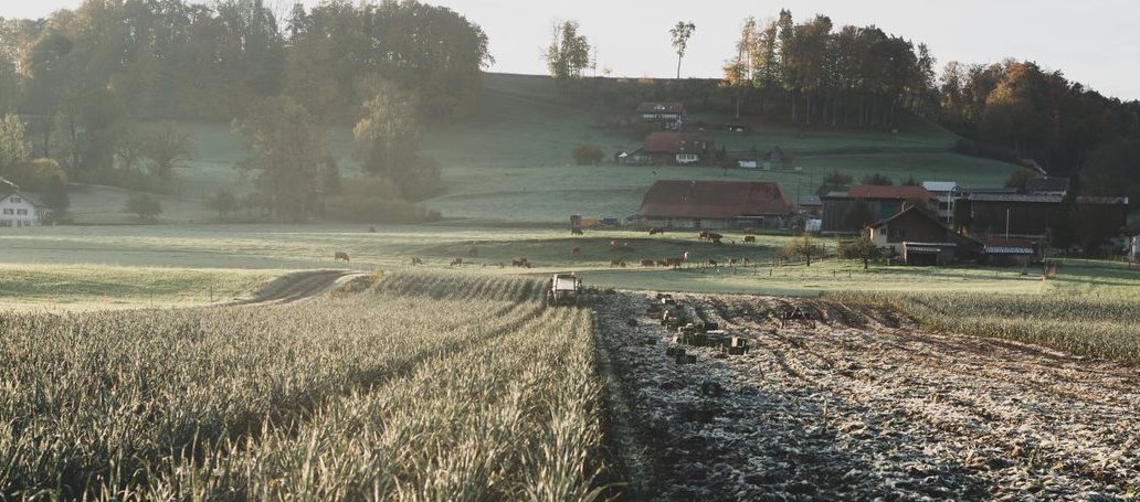 Die Wintersession 2022 steht vor der Türe - und damit wieder agrarpolitische Geschäfte. Die Übersicht und ein paar Empfehlungen: in der Sessionsvorschau mailchi.mp/agrarallianz/s…
