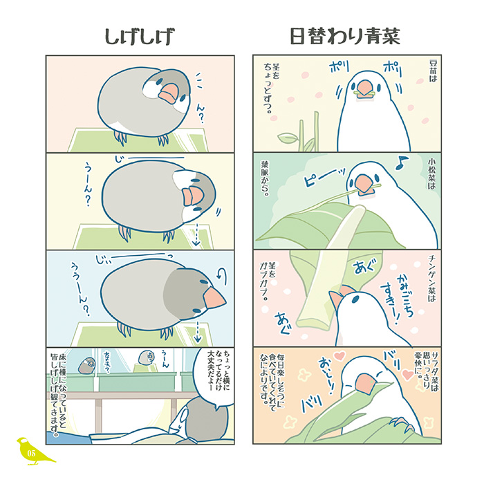こんな感じの、フルカラーで文鳥さんのまんがを描いています。次のCOMITIA142ではコミティア新刊と既刊を持ち込みますのでよかったらどうぞ。
#漫画が読めるハッシュタグ
#COMITIA142 #コミティア142 #COMITIA