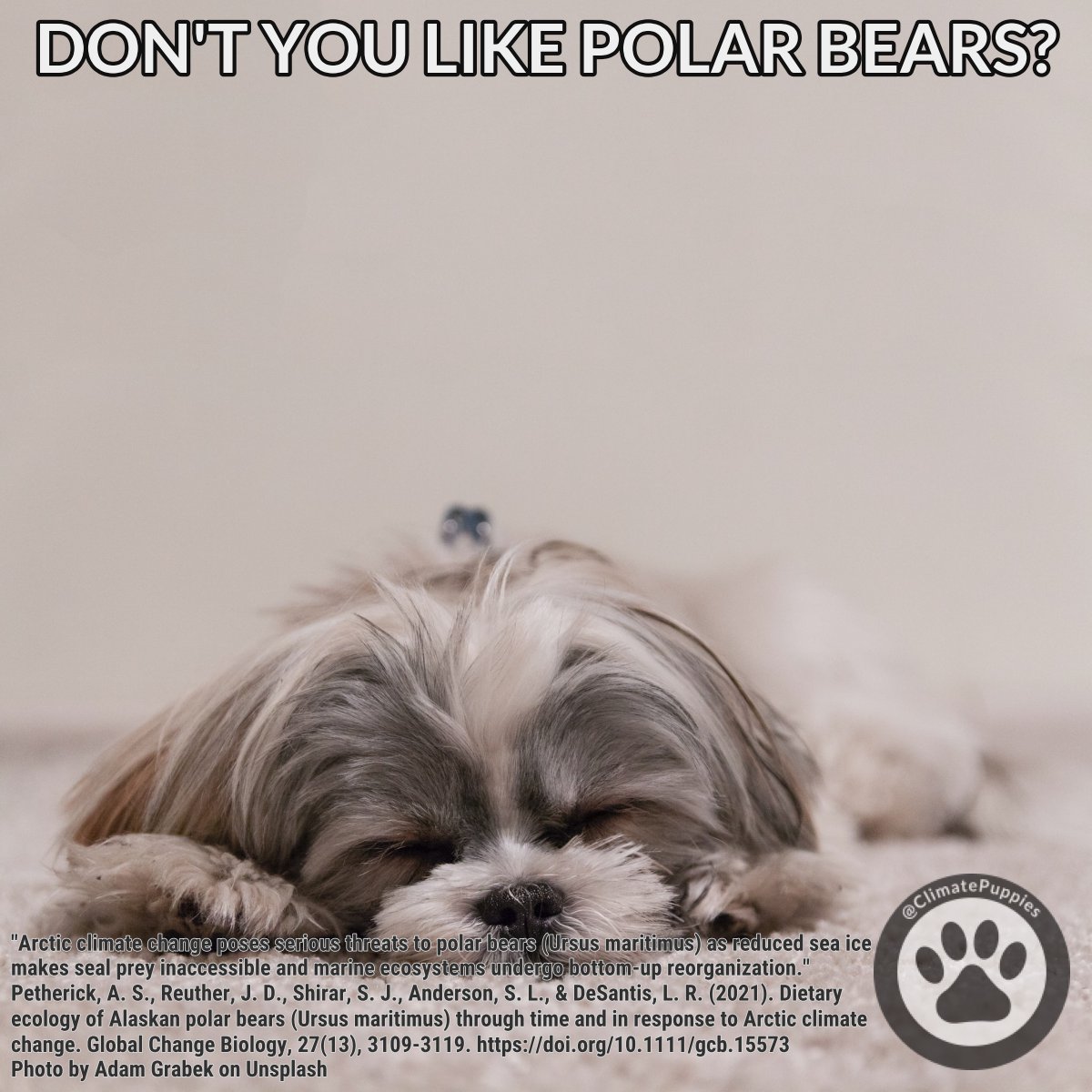 How Will Climate Change Affect Dogs