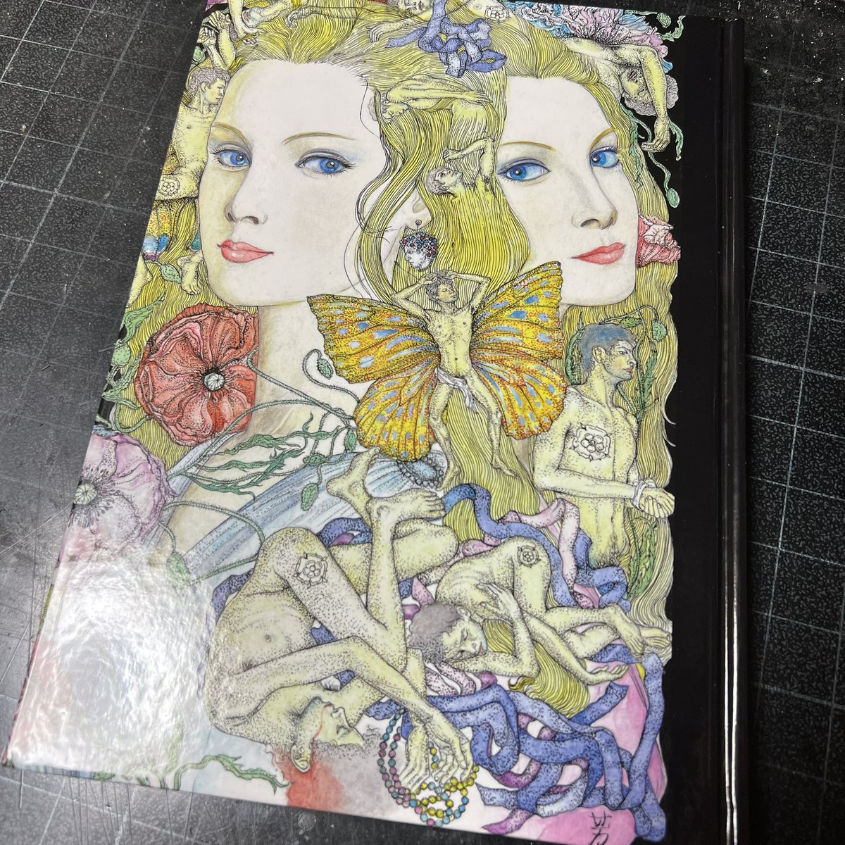 先日訃報が伝えられた村上芳正さん、10年ほど前に画集が出ていたと知り、急ぎ購入。『家畜人ヤプー』の印象が強かったせいで、何となくマゾヒズム&エロティシズムの文脈で捉えていたけど、改めて画業を俯瞰して見ると、耽美&ホモエロティシズムの方が、その全体像が見えやすいかも…などと思ったり。 
