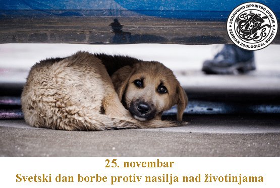 ZooloskoDrustvo's tweet photo. Svetski dan borbe protiv nasilja nad životinjama https://t.co/tiWCUNtmA6