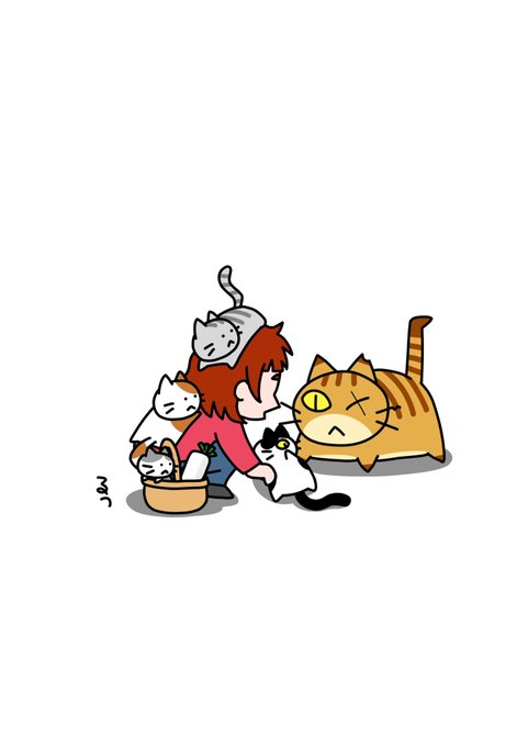 「三毛猫 ショートヘア」のTwitter画像/イラスト(新着)
