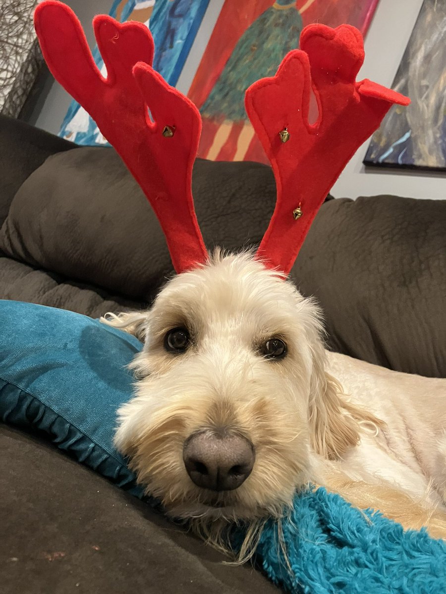 SableSouth's tweet image. Leaving some cuteness in your twitter feed