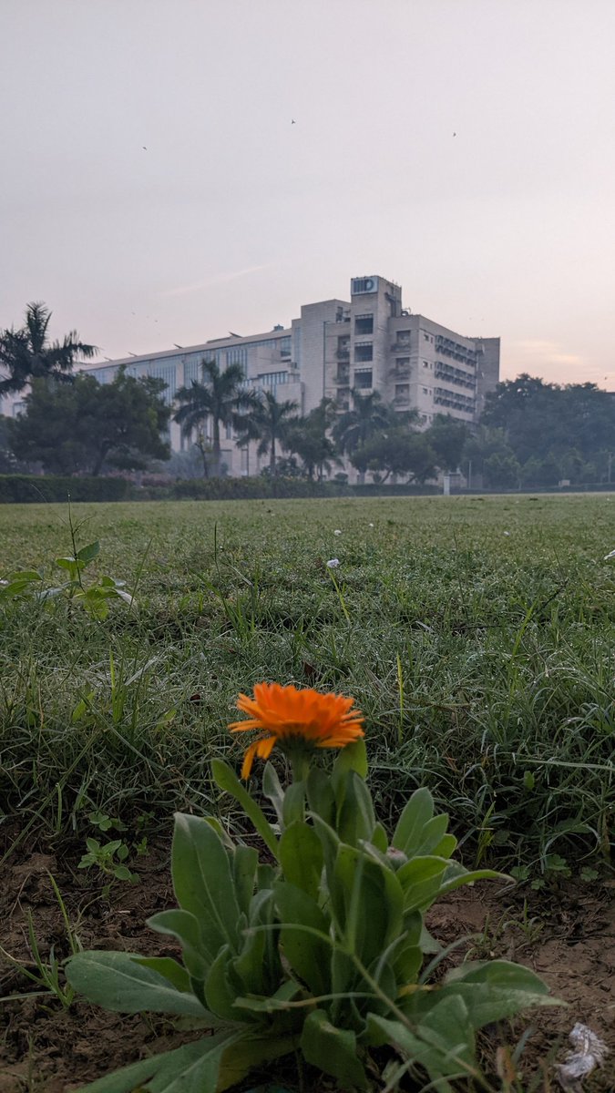 herkuch's tweet image. Give me these mornings everyday 💗 #IIITDConvocation