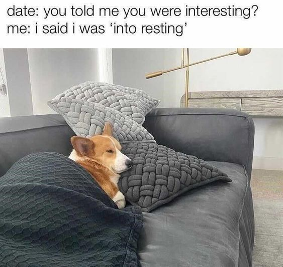 WholesomeMemes (@wholesomememe) on Twitter photo 