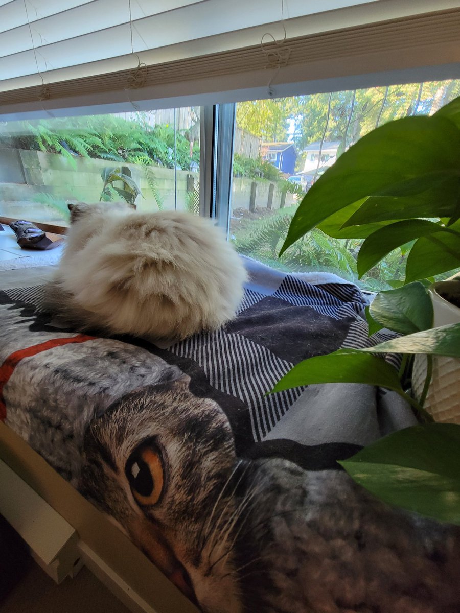 #Hedgewatch
