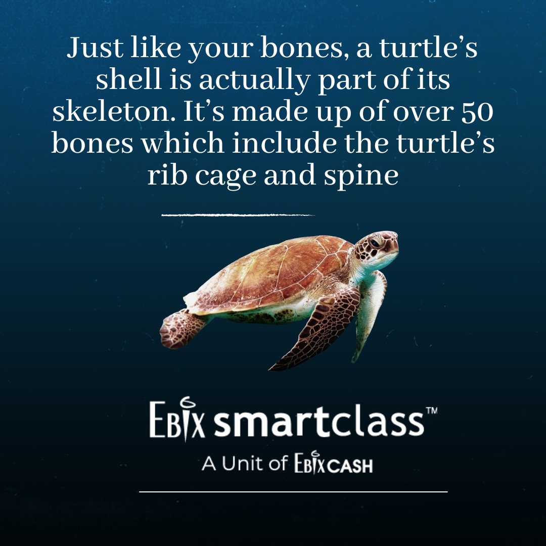 Ebix_Smartclass's tweet image. 