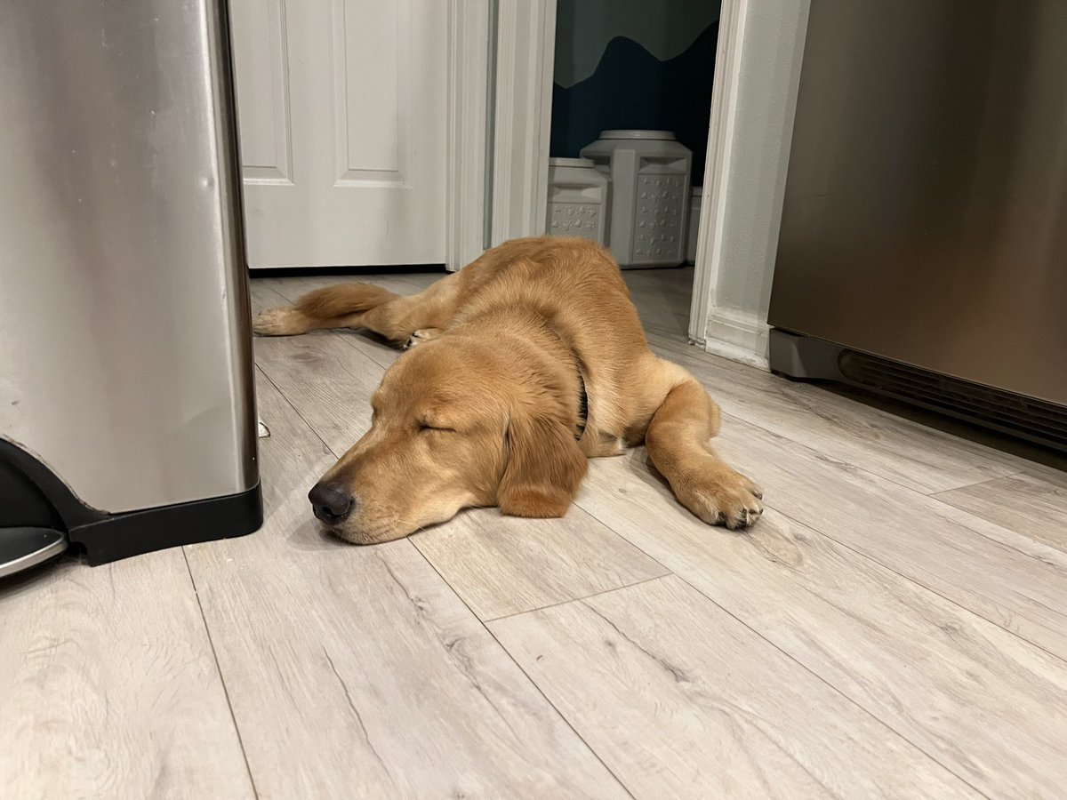 Post turkey  lunch...