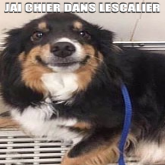mrchonks tweet media
