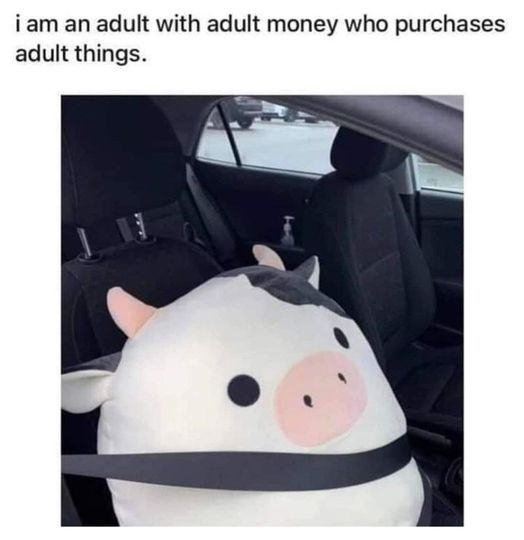 WholesomeMeme's tweet photo. https://t.co/2Lmmyxvhpi