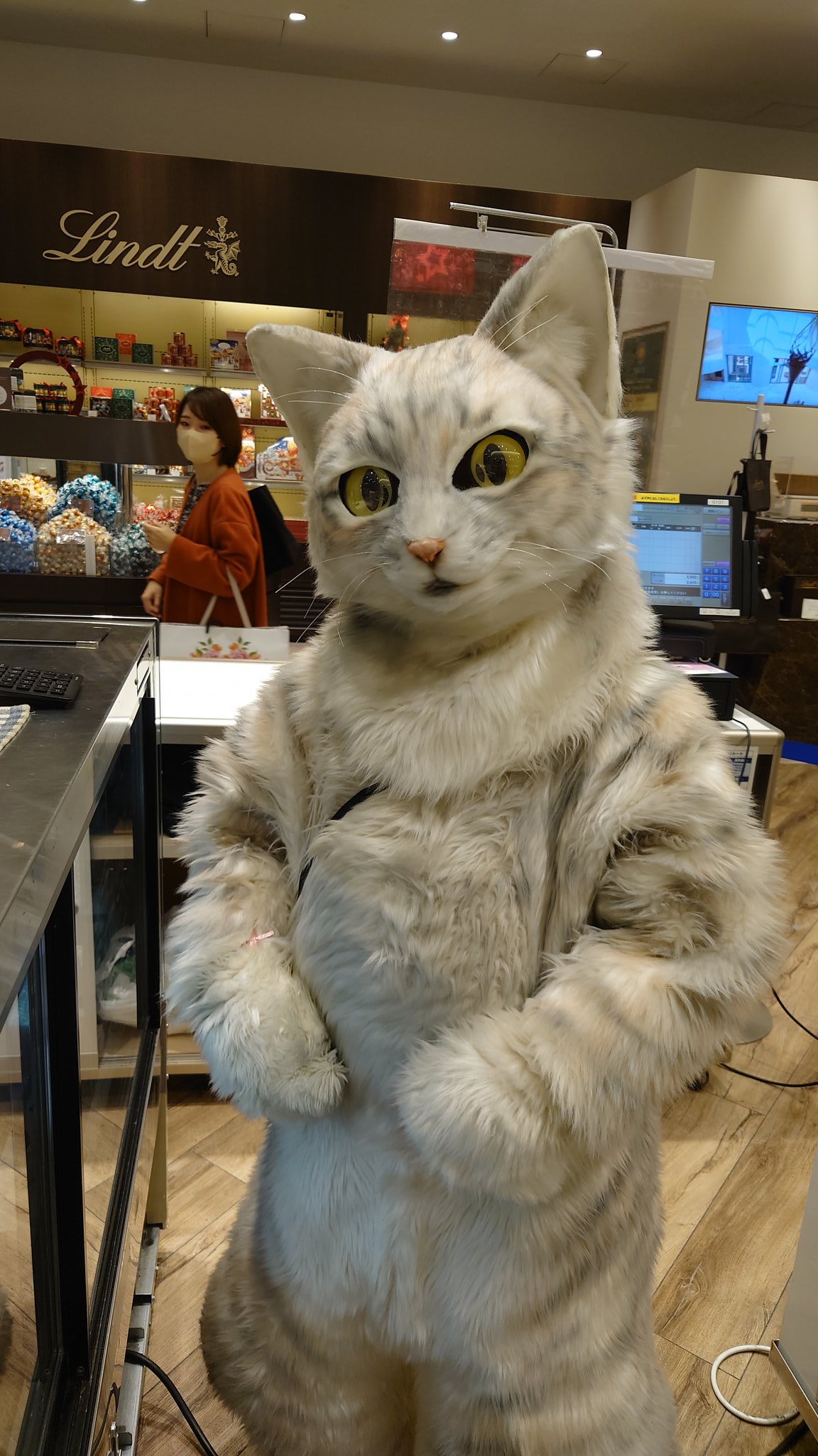 プリン専門店 坂の上の猫 源田 晃一 公式 Sakanouenoneko1 Twitter