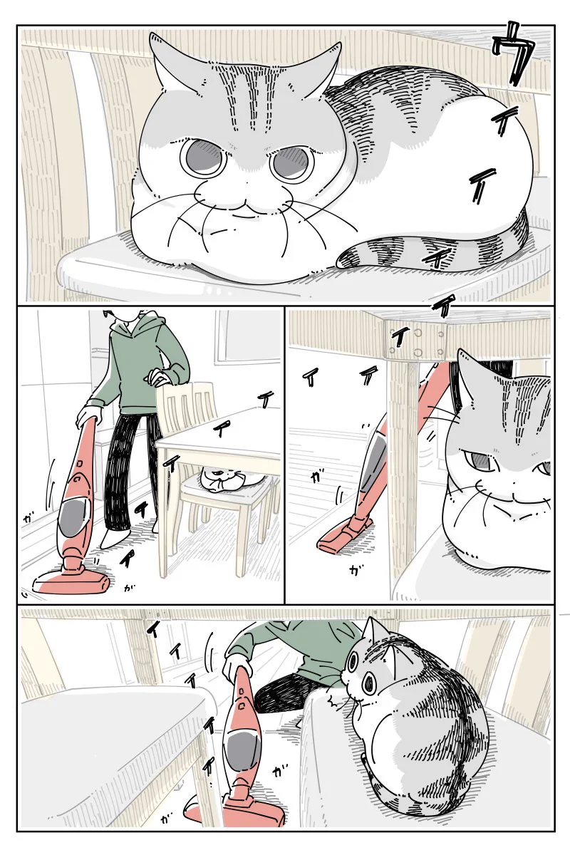 怖いけれど気にはなる？掃除機をかけているときの猫の様子を描いた猫漫画！