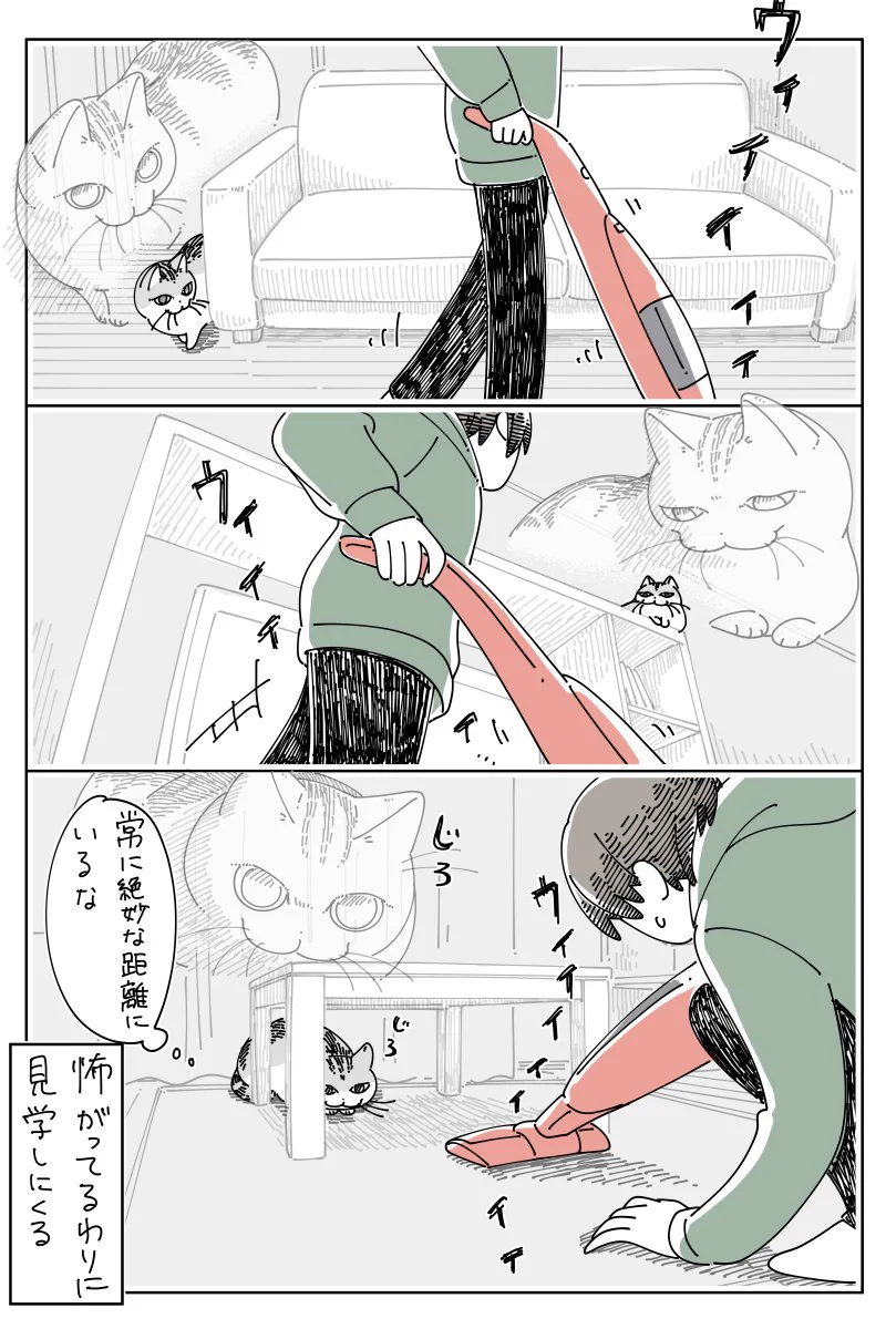怖いけれど気にはなる？掃除機をかけているときの猫の様子を描いた猫漫画！