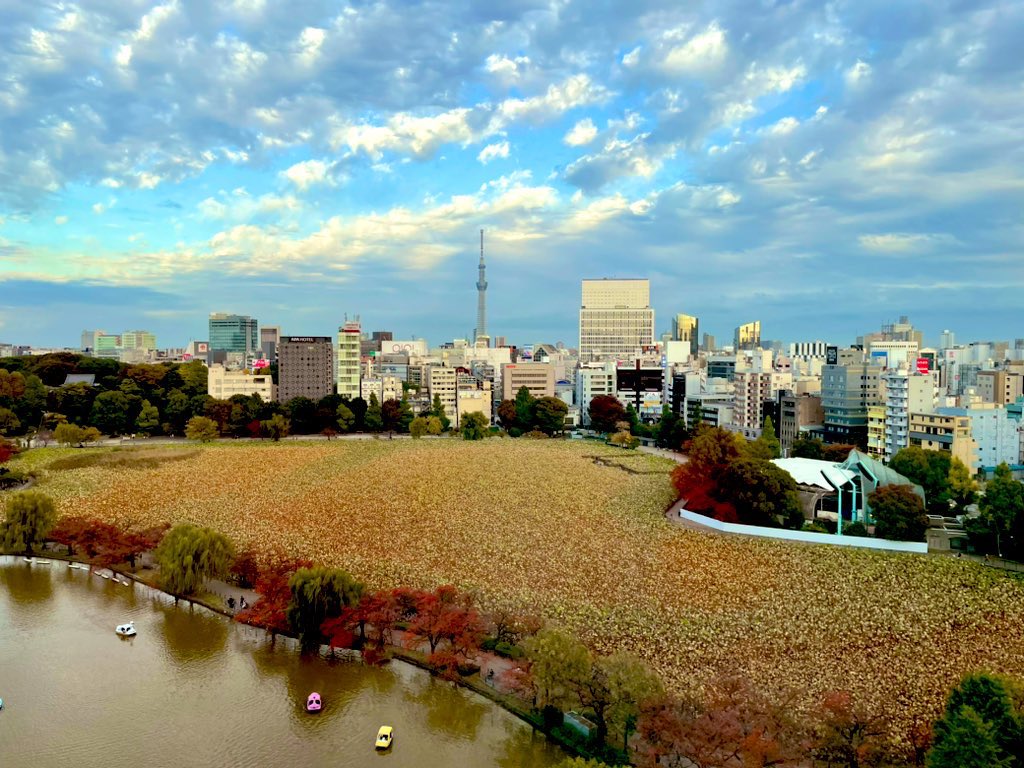 lucisgarden's tweet photo. こんにちは😊
本日も晴れて気持ちのいい1日ですね！

本日は11月後半ランチメニューのご紹介です！
メイン料理🔶大海老のチリソース煮
小菜🔸牛肉と野菜の豆豉炒め
ご飯又は豆乳粥🍚がお選び頂けます！
皆様はどちらにしますか😋
ランチにつ��ております前菜も変わっておりますので要チェック✨ https://t.co/T5NslqstG8