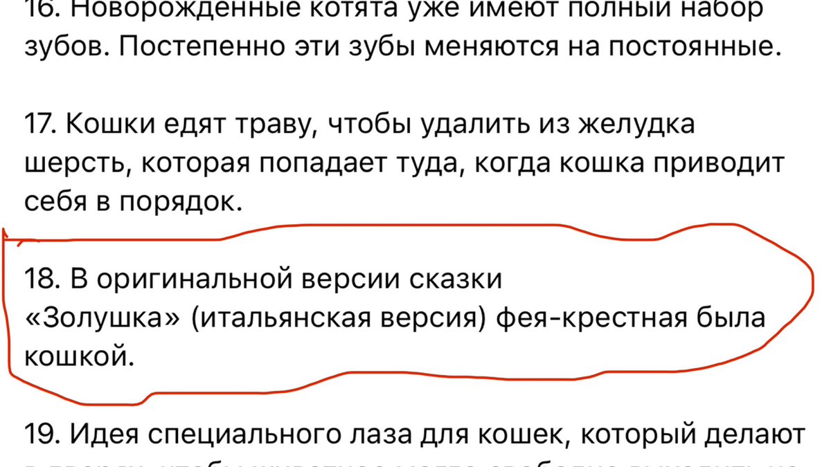 🧚🏻‍♀️😺