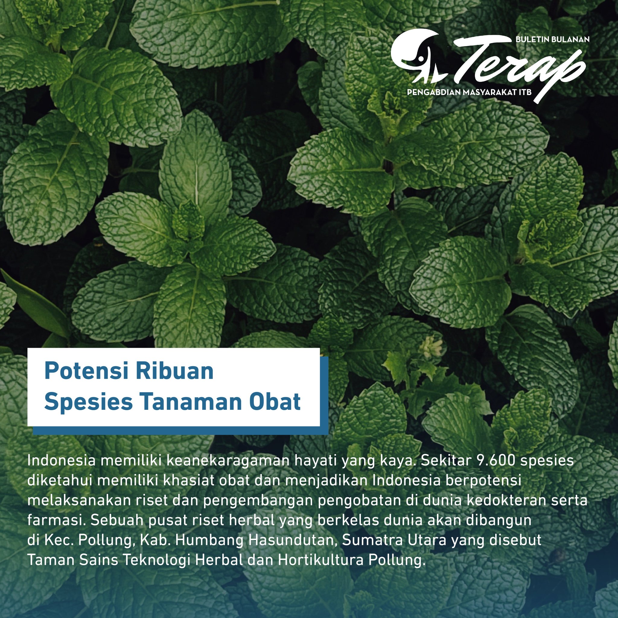 LPPM ITB on Twitter: "TERAP #52 - 2022 Memanen Manfaat Tanaman Obat