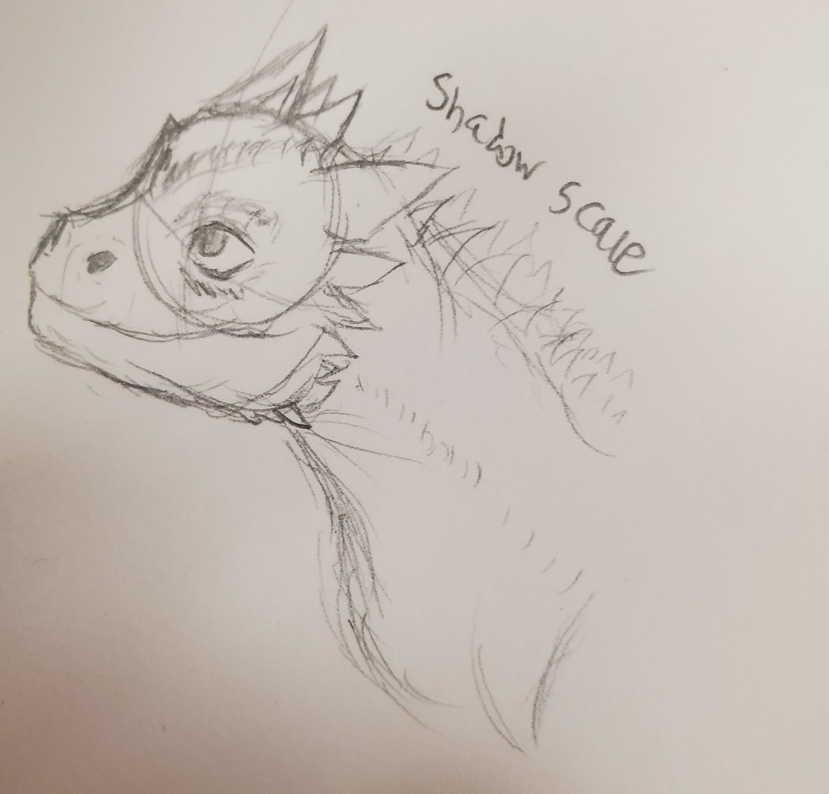 Daniswar5's tweet photo. Some Dragons I sketched at Thanksgiving dinner, dragons are from the game Day Of Dragons by Beawesome Games. I'm really looking forward to the future development of this game! I love dragons so much🥺
#dragon #art #drake #dod #acidspitter #shadowscale #dayofdragons #flamestalker https://t.co/LHTJVPrahK