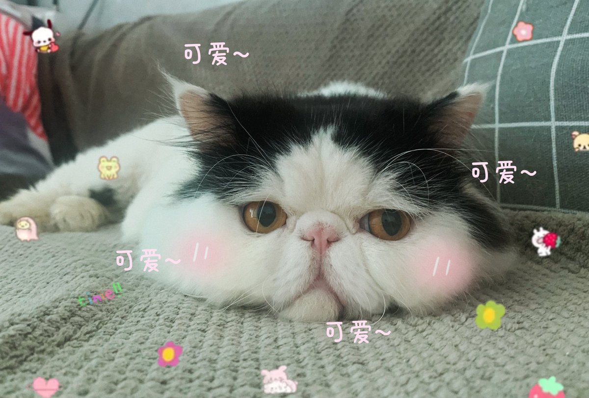 xiaoyao886's tweet photo. 很无聊。 https://t.co/blQtZus8VI