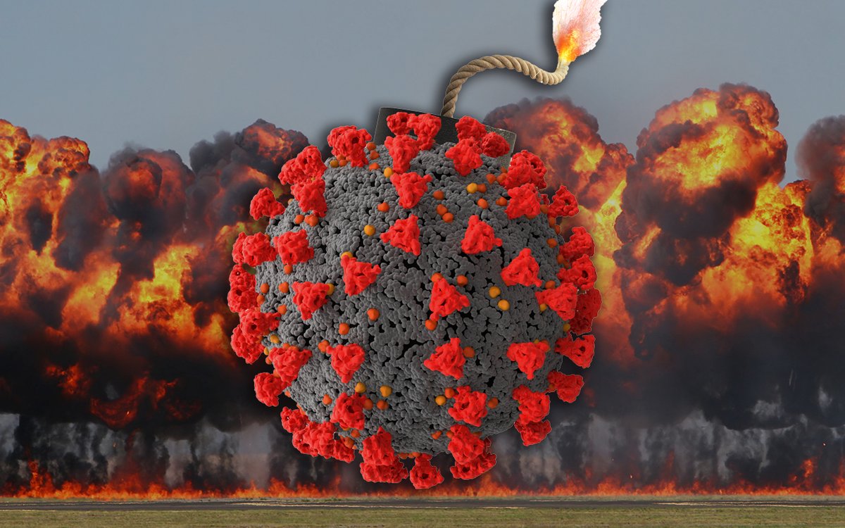 theMJA's tweet image. More proof COVID is a multi-system cluster bomb … "You can’t say every heart attack that happens after COVID is due to COVID. But there is a period of elevated risk, and it seems to be close to when you got COVID" … #freeaccess in InSight+ … insightplus.mja.com.au/2022/46/more-p… #medtwitter