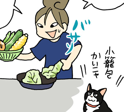 レタスクラブ12月号、発売中です!
「今夜はアレで飲みたい!」第4話は
『豪快!野菜の塩釜焼きにトライ』。
どうぞよろしくお願い致します。 