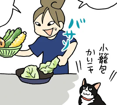 レタスクラブ12月号、発売中です!
「今夜はアレで飲みたい!」第4話は
『豪快!野菜の塩釜焼きにトライ』。
どうぞよろしくお願い致します。 