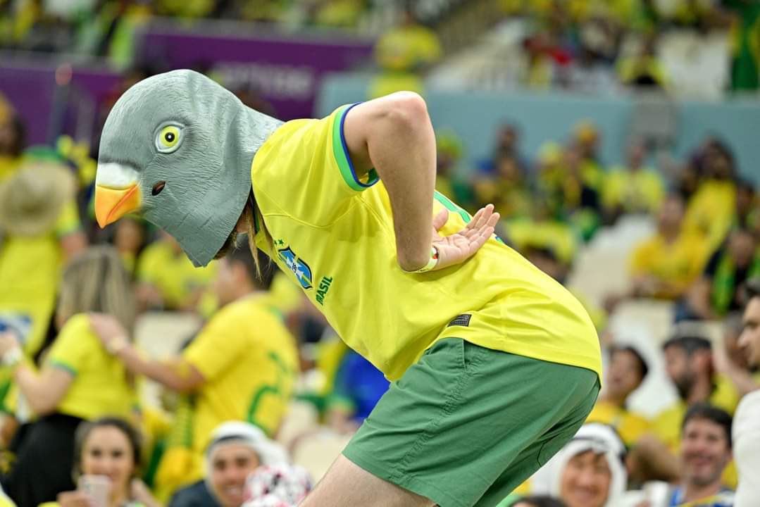RodrigoScarpa's tweet photo. Esse deveria ser o novo mascote da Copa! Que golaaaço!  #dancadopombo #Richarlison #WorldcupQatar2022 https://t.co/0uohfrPfNr