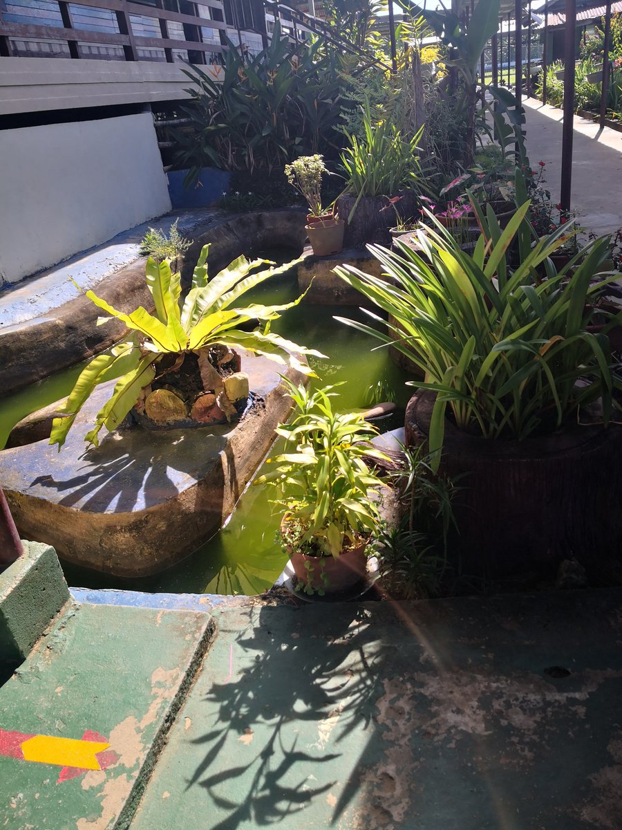 sambals69's tweet image. 