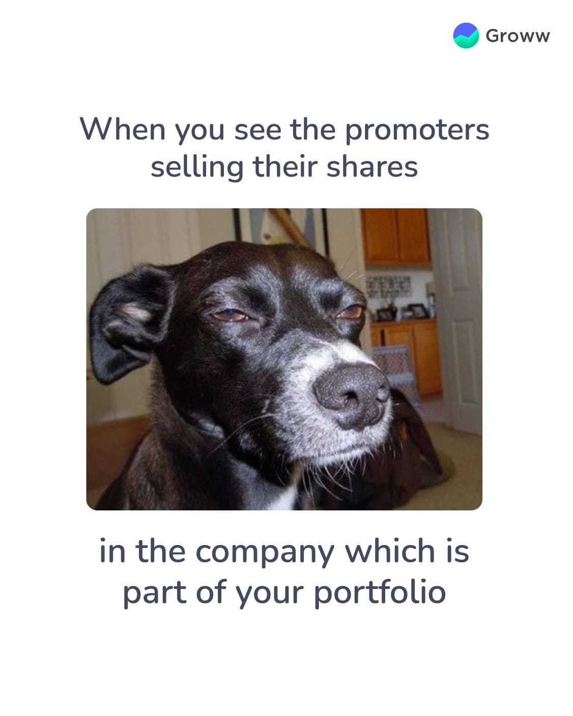 groww-on-twitter-what-is-your-preference-companies-with-high