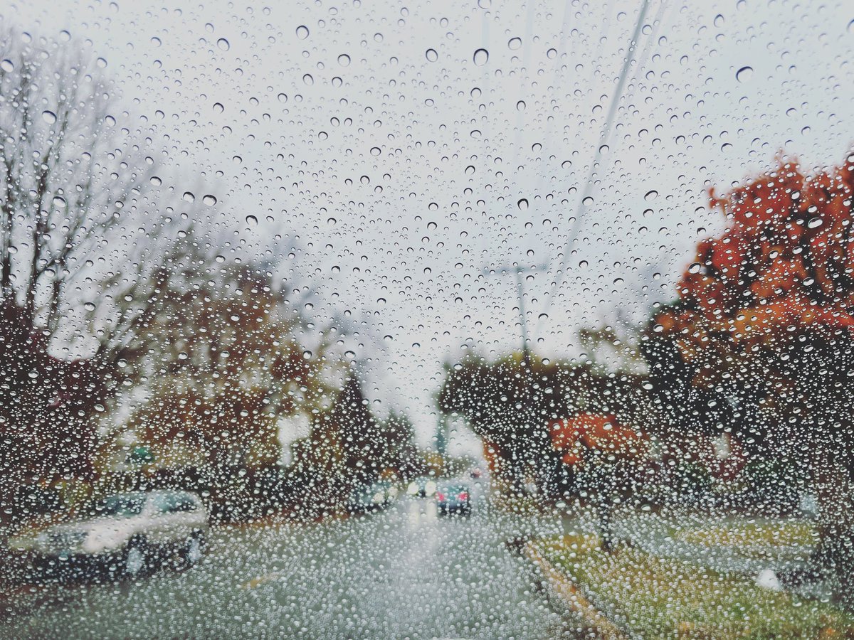 robcasey's tweet photo. Seattle Fall colors and rain. #Seattle #pnw https://t.co/nSgwlaCwTp