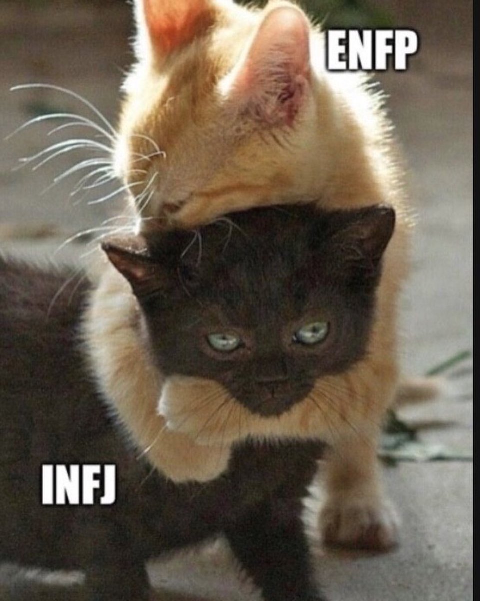 DO_4263's tweet photo. 인프제 모으기래ㅋㅋㅋ 아니근데 배우들끼리 mbti 얘기한거냐고 재밌었겠어요 그 얘기 같이들어요 https://t.co/mRFkzbWXnA