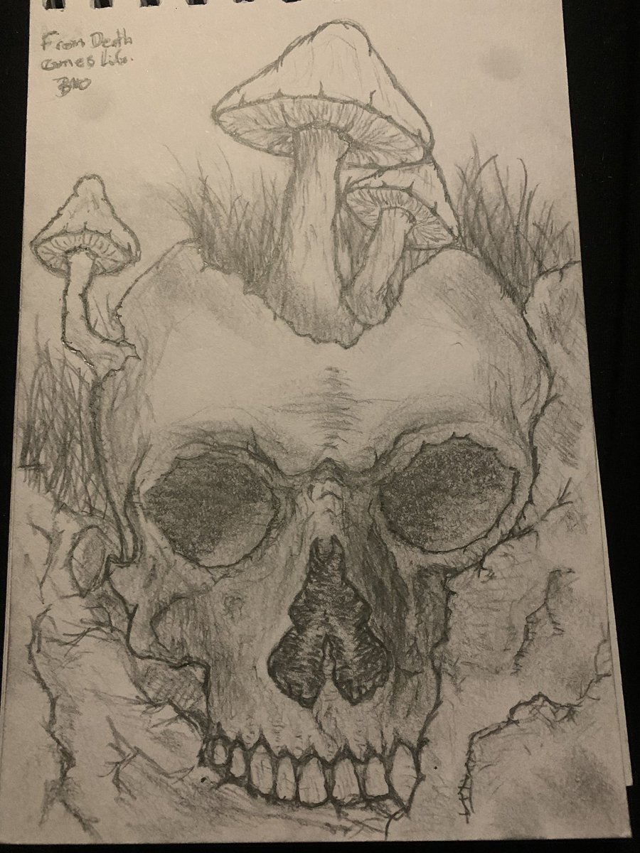 bmo391's tweet photo. #darkart #pencilart #ArtistOnTwitter #skull #drawing https://t.co/I6CyFOT2xZ