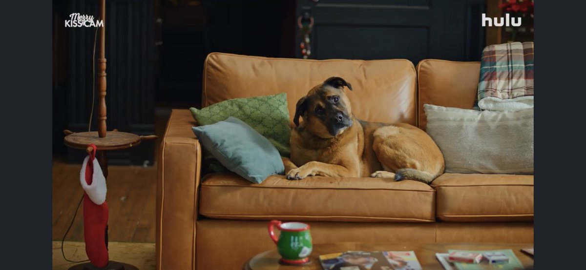 Kevin Jacobsen tweet media