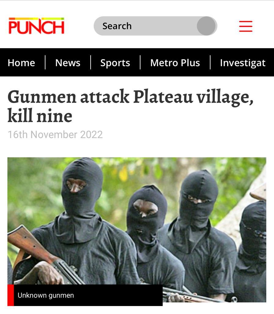 FreedomFromNigeria tweet media