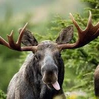 Kit_2ed's tweet image. #NewProfilePic