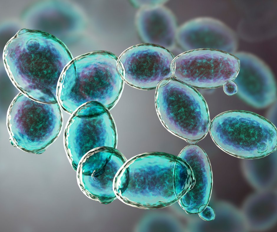 Waite Research Institute tweet media