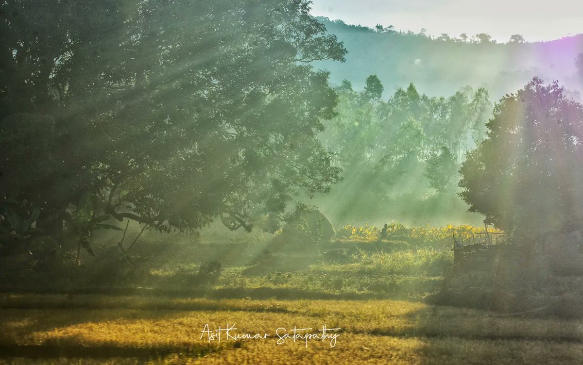 Asitkumar_AK's tweet photo. #wintermorning #foggymorning #Koraputdistrict #koraputdiaries #trainjourny🚊 #photographers_of_india #photojournalist #nikon #Bbsrbuzz #eodishaorg #pureodisha #Sambad https://t.co/iqiZrQmqKC