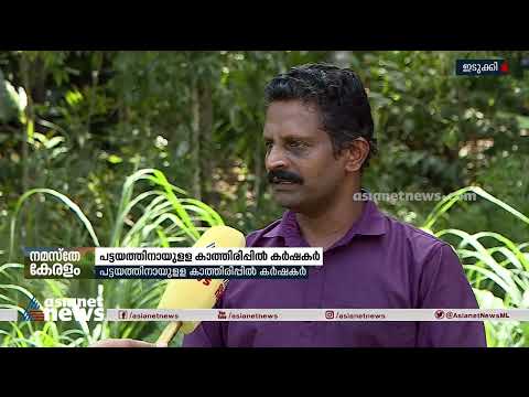 naalikeram's tweet image. മൂന്നു ചെയിൽ മേഖലകളിലെ കർഷകർക്ക് പട്ടയമില്ല ;  പട്ടയത്തിനായുള്ള കാത്തിരിപ്പിൽ കർഷകർ

#pattayam #Landdeed #AsianetNewsLive #KeralaNewsLive #MalayalamNewsLive
മുഖ്യമന്ത്രിയും മന്ത്രിമാരും ആവർത്തിച്ച് പ്രഖ്യാപനം നടത്തിയിട്ടും ഇടുക്കി ജലസംഭരണിയുടെ ...

👉 youtube.com/watch?v=ifHafr…