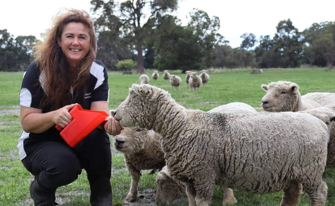 ThompsonRedwood's tweet photo. Meet Deborah from Tanjar Babydoll Southdowns! "We started using T&amp;R Lamb Finisher Pellets earlier this year and can't be happier with this product. The small pellet is perfectly suited to our smaller Babydoll Southdown lambs who start creep feeding at only a few weeks old." https://t.co/Nu9q2URvzV