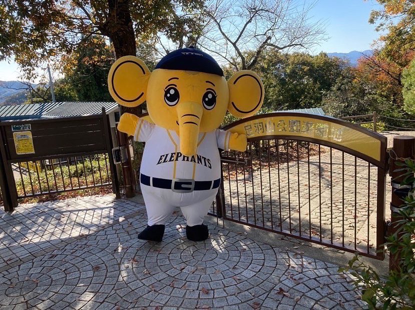 nexuselephants's tweet photo. 🐘福井県の観光地🟡

#足羽山公園遊園地 に行ってきました！入園料は無料、エサやり体験やアスレチック遊具もあり、お子様連れにはもってこいのテーマパークです🛝
🐘はいなかったので、ポニーと記念撮影しました📷
毎週月曜日は休園日ですのでお気をつけください🙇

#福井県 #観光地 #観光名所 https://t.co/dZROQ9H6Du