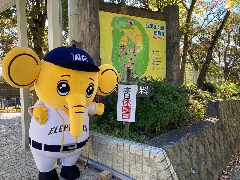nexuselephants's tweet photo. 🐘福井県の観光地🟡

#足羽山公園遊園地 に行ってきました！入園料は無料、エサやり体験やアスレチック遊具もあり、お子様連れにはもってこいのテーマパークです🛝
🐘はいなかったので、ポニーと記念撮影しました📷
毎週月曜日は休園日ですのでお気をつけください🙇

#福井県 #観光地 #観光名所 https://t.co/dZROQ9H6Du