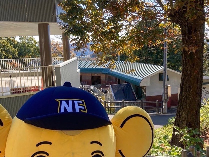 nexuselephants's tweet photo. 🐘福井県の観光地🟡

#足羽山公園遊園地 に行ってきました！入園料は無料、エサやり体験やアスレチック遊具もあり、お子様連れにはもってこいのテーマパークです🛝
🐘はいなかったので、ポニーと記念撮影しました📷
毎週月曜日は休園日ですのでお気をつけください🙇

#福井県 #観光地 #観光名所 https://t.co/dZROQ9H6Du