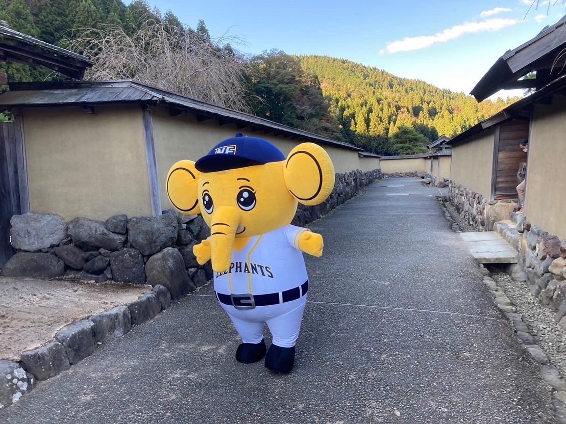 nexuselephants's tweet photo. 🐘福井県の観光地🟡

#一乗谷朝倉氏遺跡復原町並 に行ってきました！
戦国時代に朝倉氏5代103年にわたり越前の国を支配し、栄華を極めた城下町跡は、町並みがほぼ完全な姿で発掘・再現👀
インスタ映えスポットもあるのでぜひ一度お立ち寄りください📷

#福井県 #観光地 #観光名所 https://t.co/qwfHmJN80S